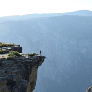 Meet your Posher, Carole-anne